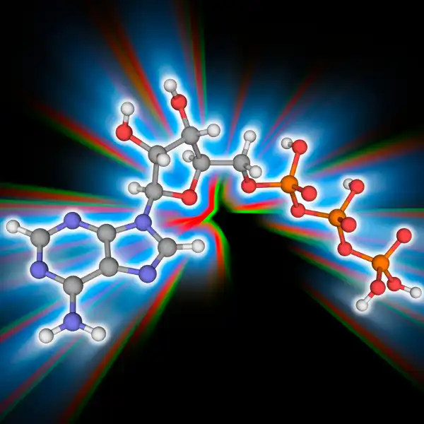 ATP (adenosín trifosfato disódico)