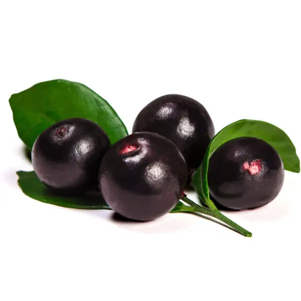 Acaí o Açaí (Euterpe oleracea)