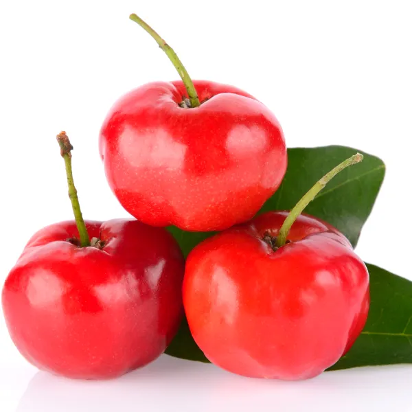 Acerola (Malpighia glabra)