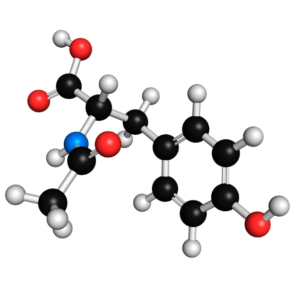 Acetil L-carnitina