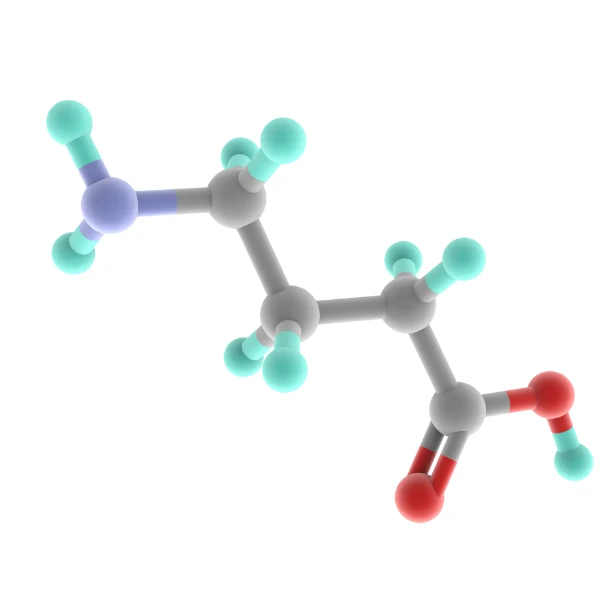 GABA (ácido gamma-aminobutírico)