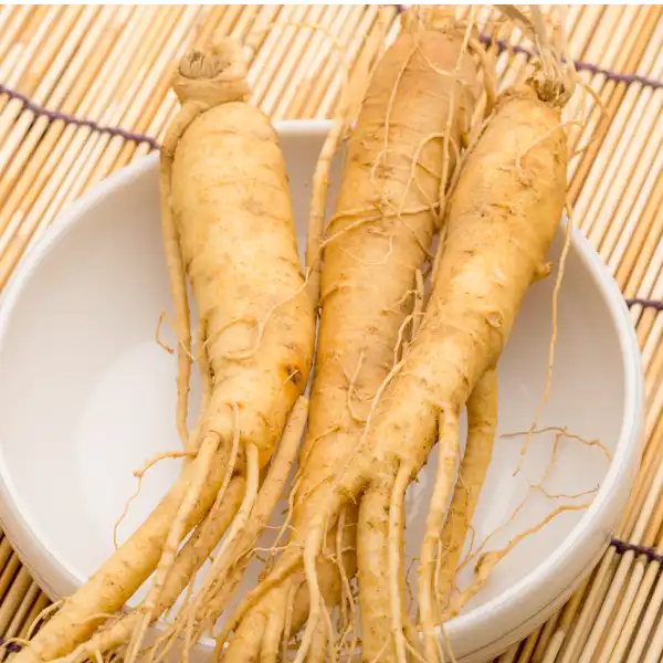 Ginseng (Panax ginseng)