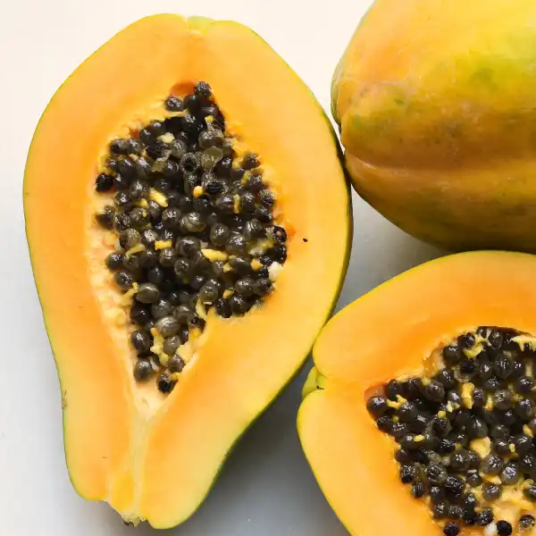 Papaya (Carica papaya)