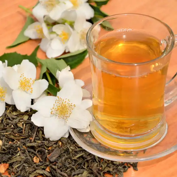 Té jazmín (Camellia sinensis)