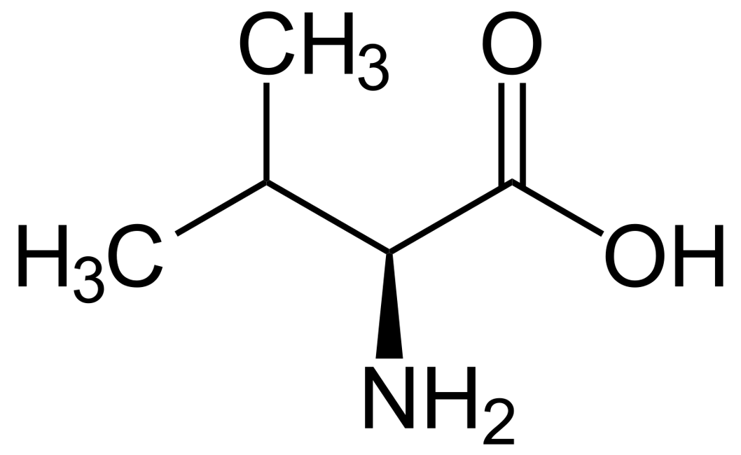 Valina - Equisalud