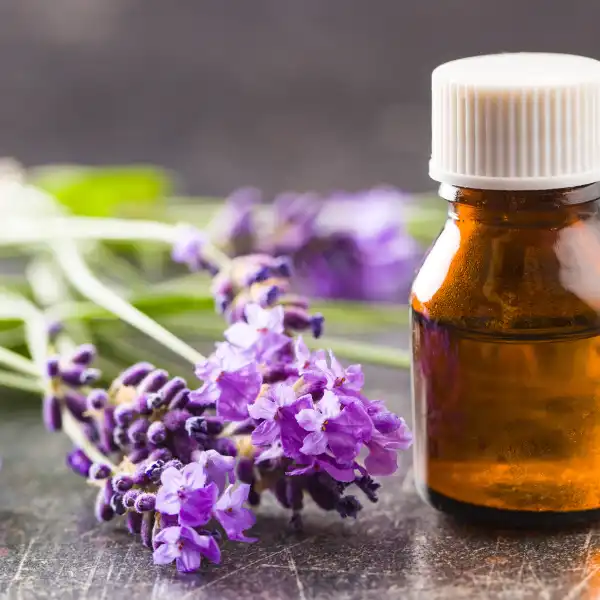 Aceite esencial de lavanda fina