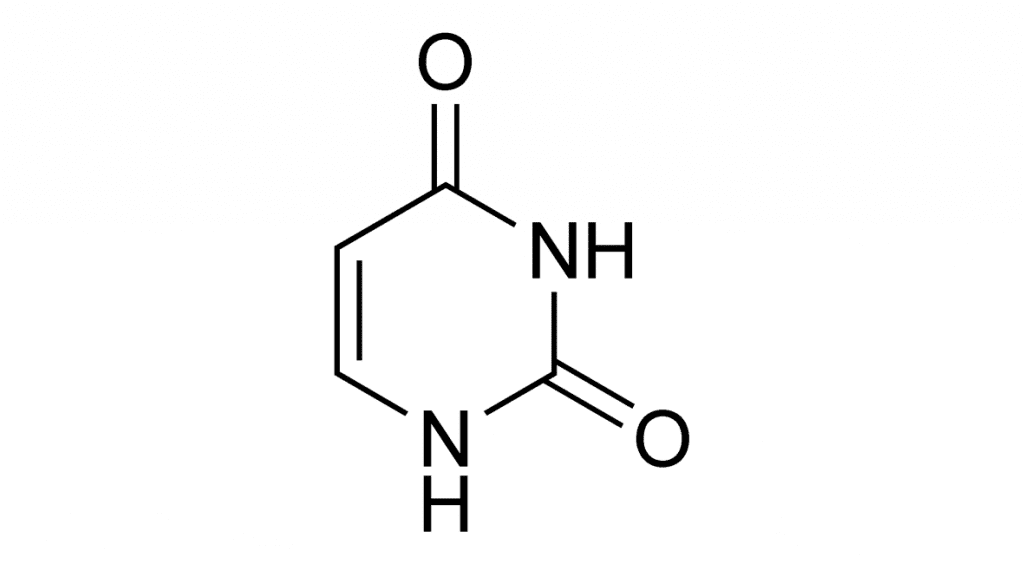 Uracilo