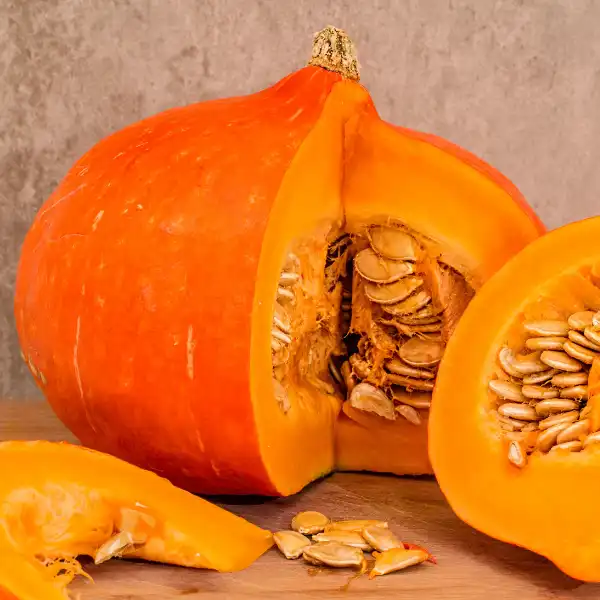 Calabaza (Cucurbita pepo)