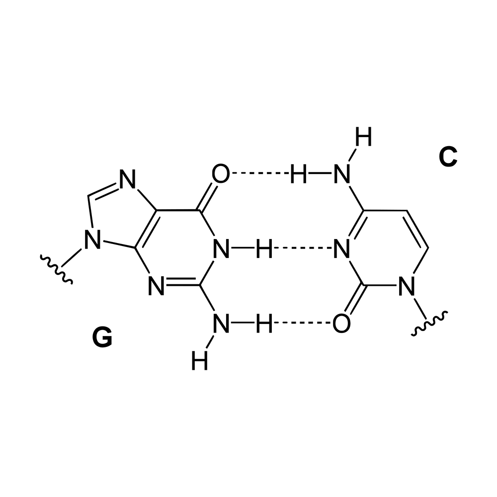 Fórmula de la Citosina