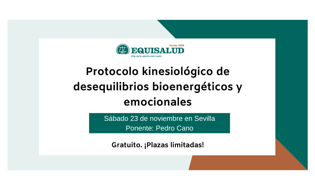 Formación en Sevilla: «Protocolo kinesiológico de desequilibrios bioenergéticos y emocionales» en noviembre