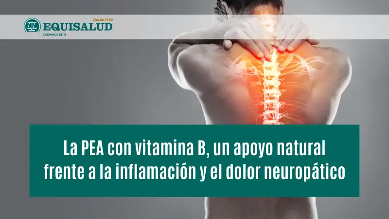 La PEA con vitamina B, un apoyo natural frente a la inflamación y el dolor neuropático