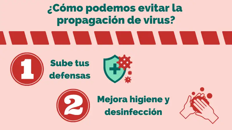 Cómo aumentar nuestras defensas ante la amenaza de virus