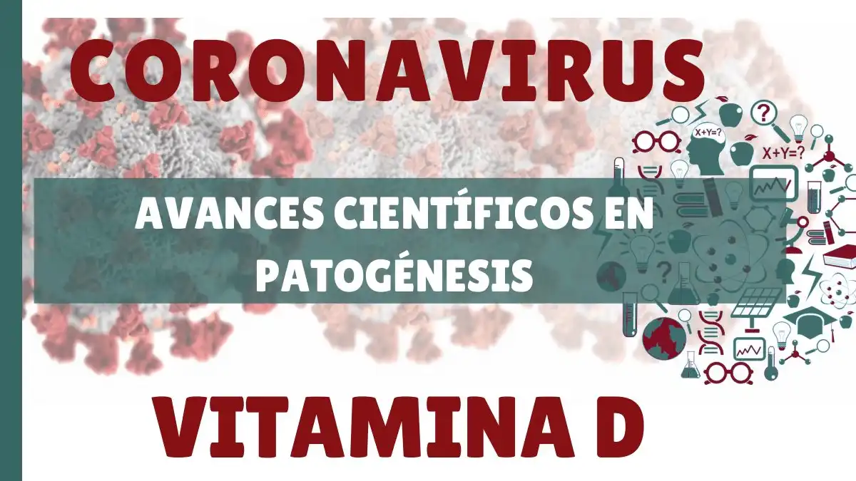 Avances científicos en inmunopatogénesis: Vitamina D