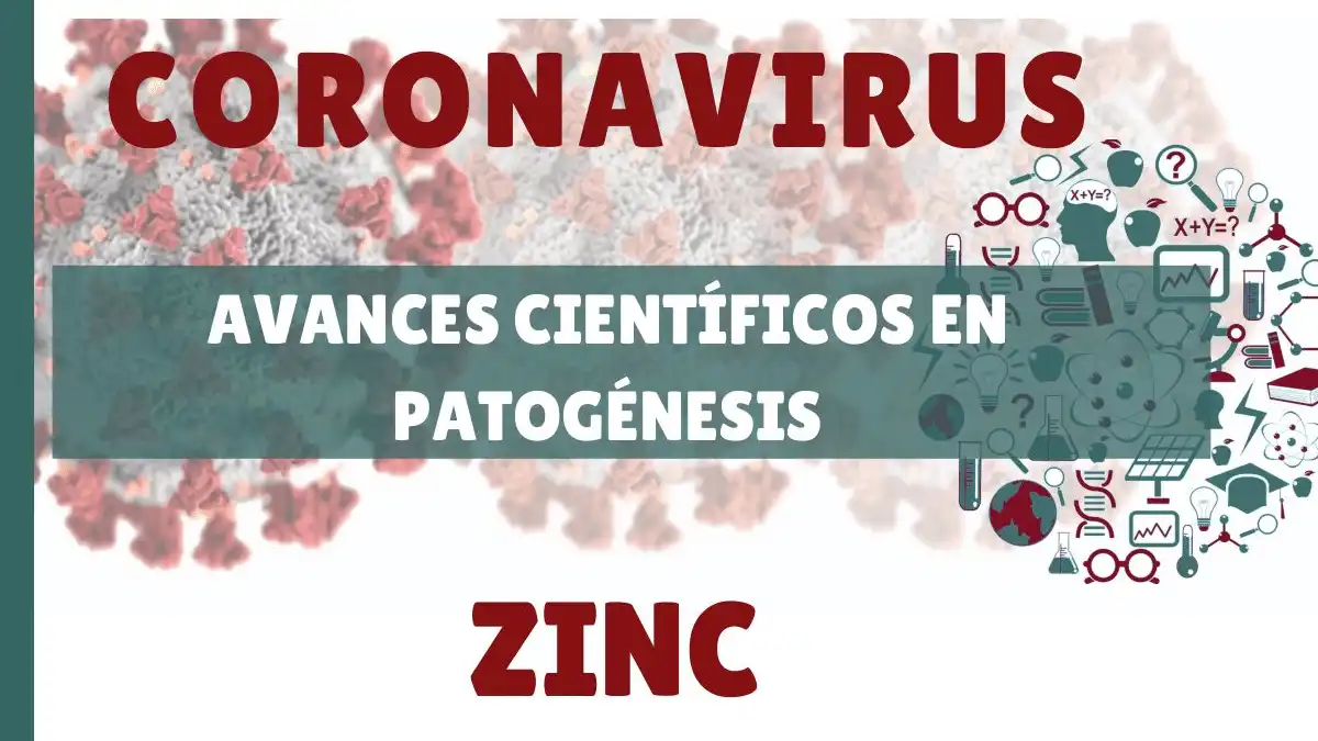 Avances científicos en patogénesis con zinc