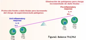 Figura 2 zinc