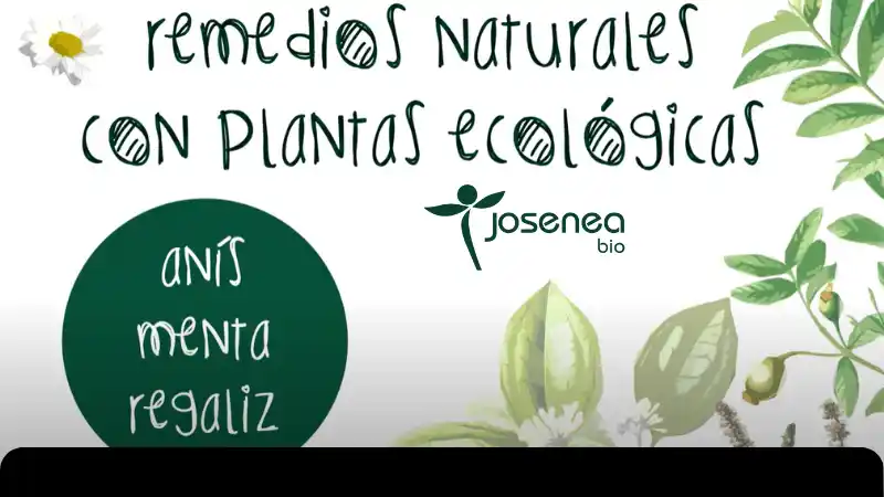 Remedios naturales con plantas ecológicas: anís, menta, regaliz