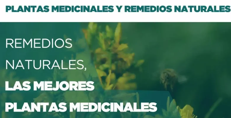 Remedios naturales, las mejores plantas para tu salud. Parte 1