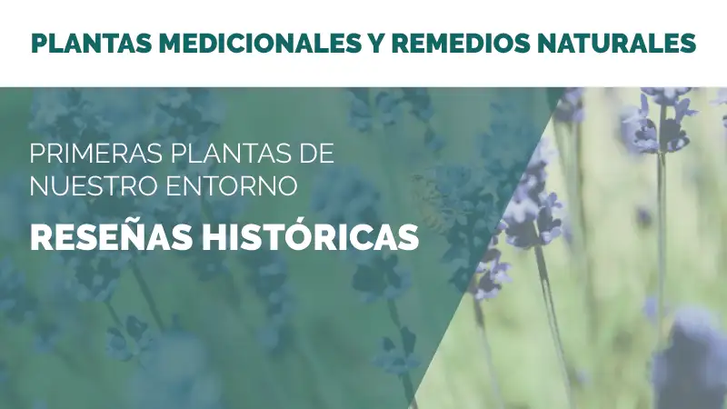 Primeras plantas de nuestro entorno: Reseñas históricas