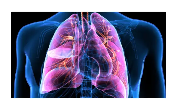 Problema pulmones