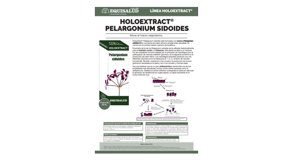 Ficha técnica Holoextract Pelargonium Sidioides
