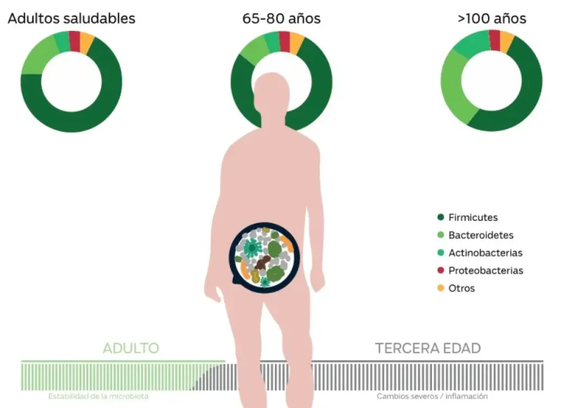 Gráfico probióticos en ancianos