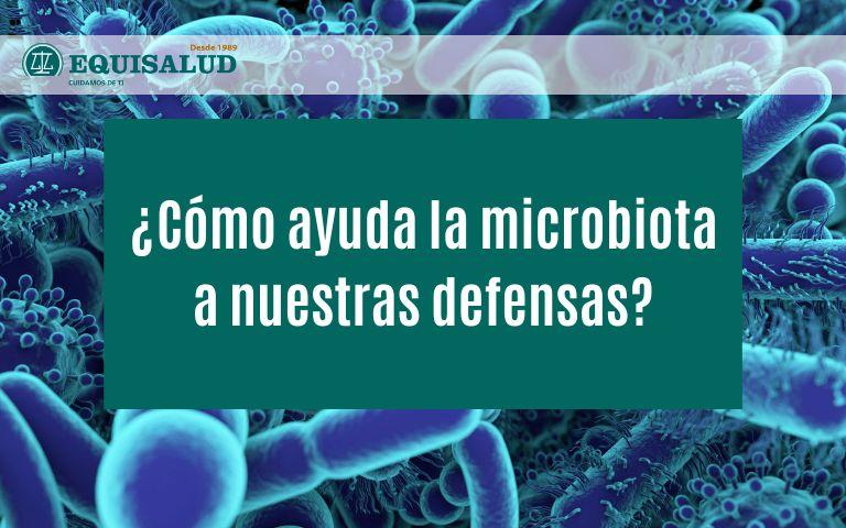 ¿Cómo ayuda la microbiota a nuestras defensas?