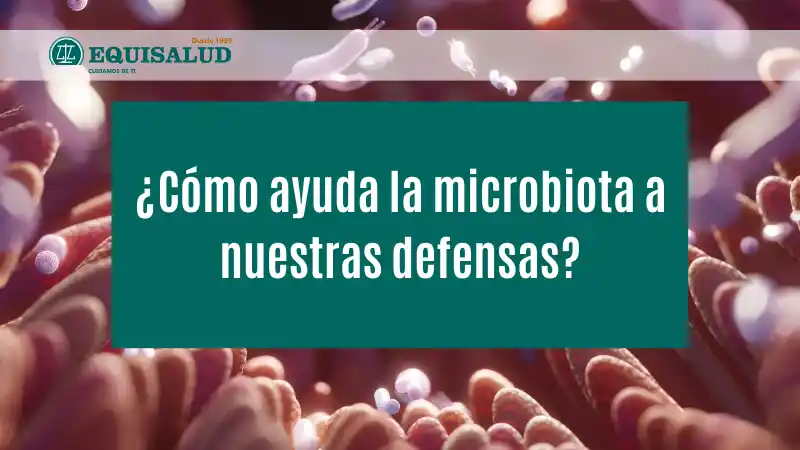 ¿Cómo ayuda la microbiota a nuestras defensas?