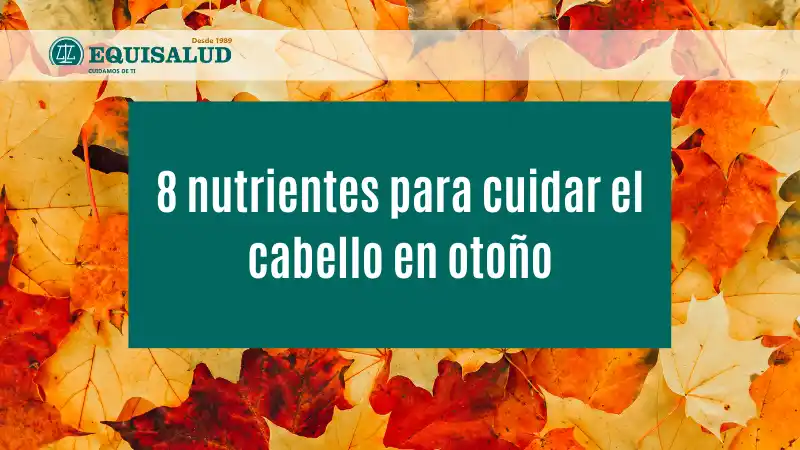 8 nutrientes para cuidar el cabello en otoño