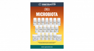 Portada catálogo Microbiota
