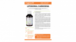 Ficha descriptiva Lipolife Liposomal Carnosina