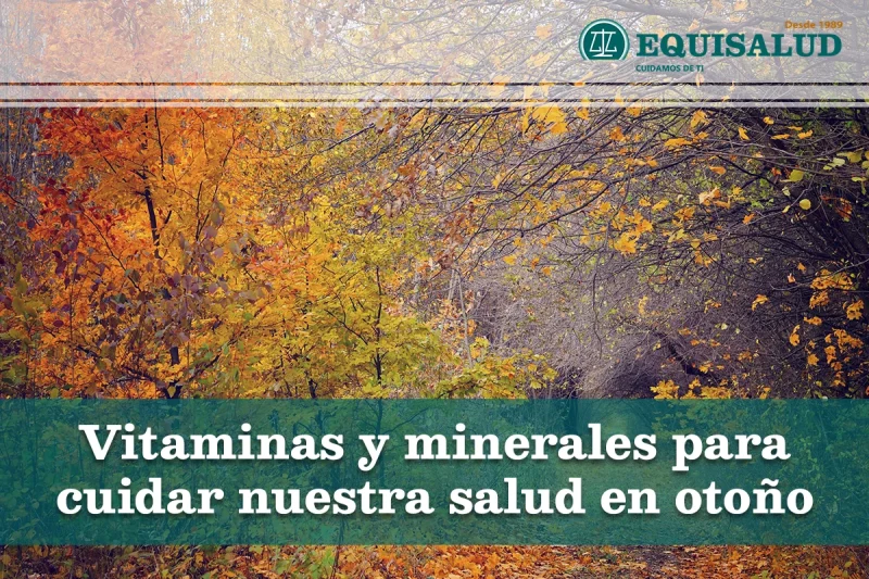 Vitaminas y minerales para cuidar nuestra salud en otoño