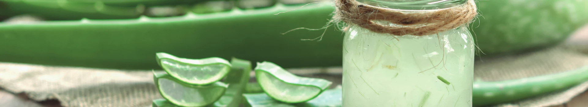 Bio aloe vera portada línea de producto de Equisalud