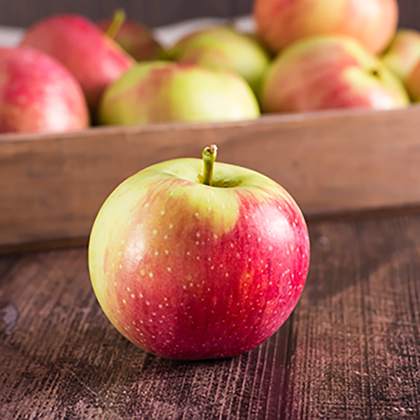 Manzana Annurca variedad del manzano común Malus pumilla