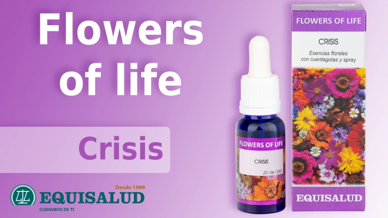 Portada del lanzamiento de Flowers of life crisis