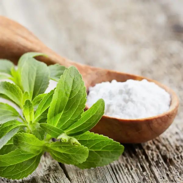 Stevia, Stevia rebaudiana