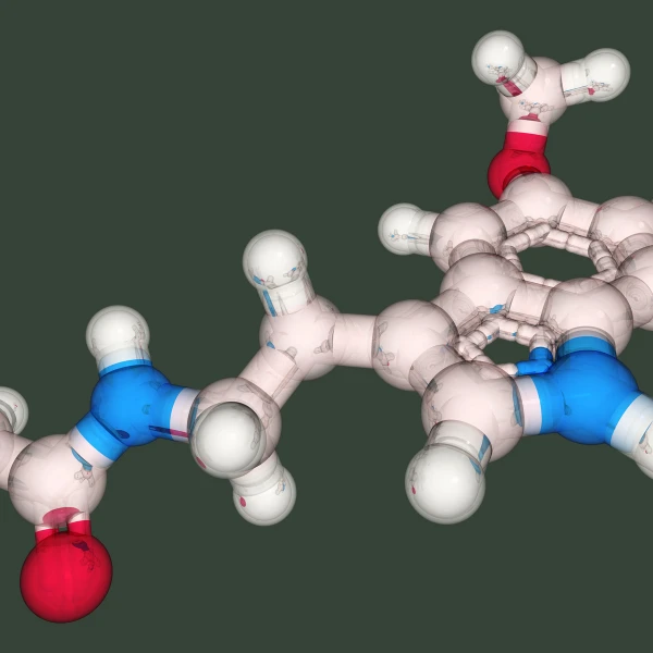 Melatonin SR Granules (melatonina de liberación sostenida)