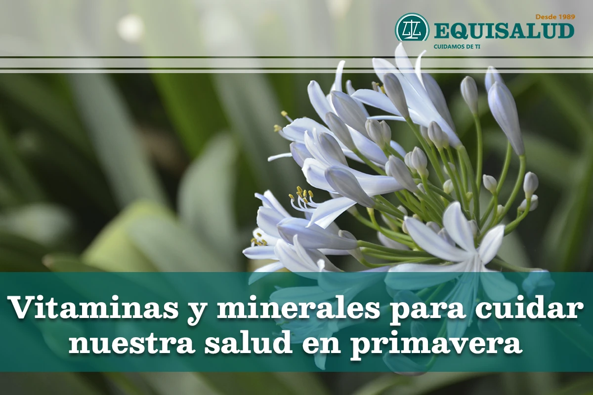 Vitaminas y minerales para cuidar nuestra salud en primavera