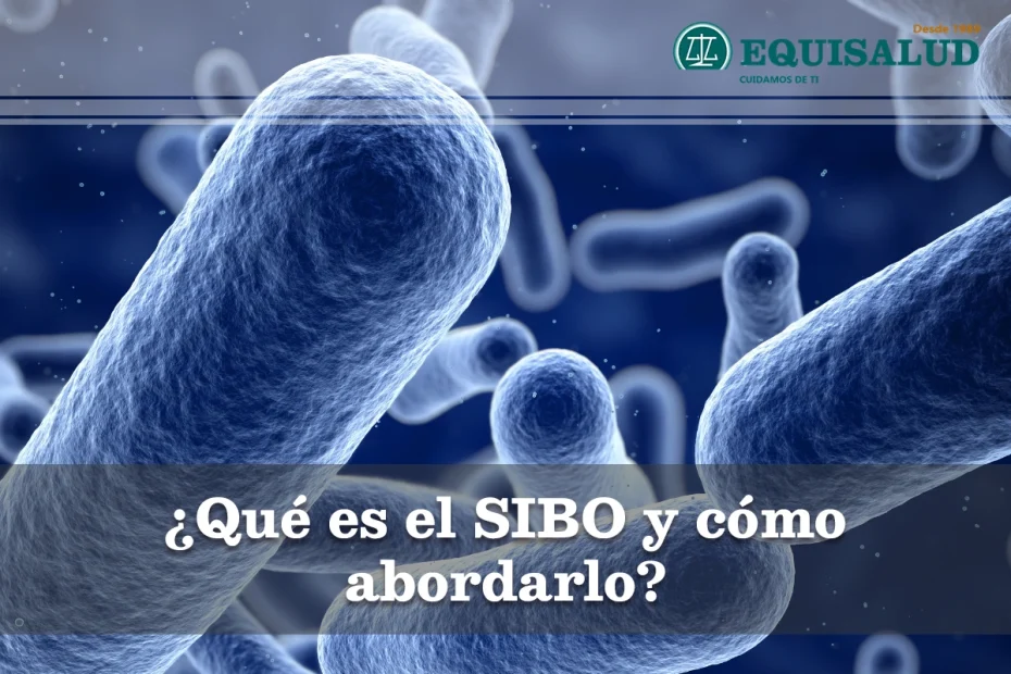 Qué es el SIBO y cómo abordarlo