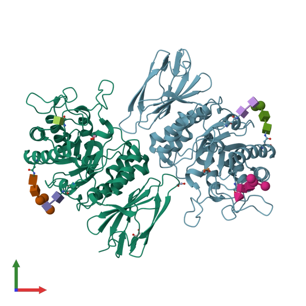 Alfa-galactosidasa enzima. PDBB. (16 March 2004). Alpha-galactosidase. https://commons.wikimedia.org/w/index.php?title=File:Alfa-galactosidasa.png&oldid=820386084