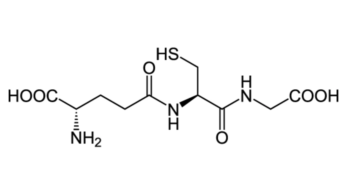 glutathione beads 4b Protino Glutathione Agarose 4B for GST-tag protein purification, MN
