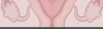 Gestion-estrogenica-endometriosis-y-menopausia